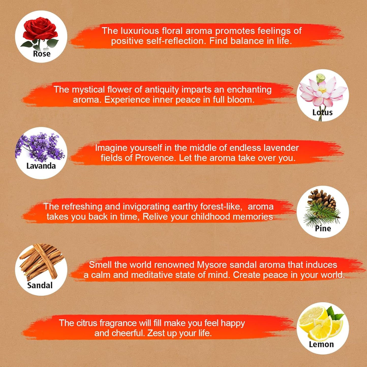 Incense Sticks Variety Pack-240 Insence-Sticks (12Incents x 20 Insense) -White Sage Palo Santo Dragons Blood Sandalo-Natural Inscents-Sticks Non Toxic Cleansing Incienso+Slow Burning Inscents