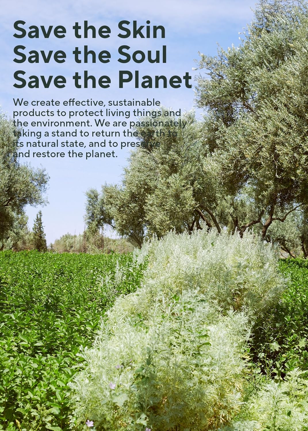 AROMATICA Rosemary Hair Thickening Conditioner, Korean Hair Care Vegan Natural Conditioner for Damaged Hair and Dry Hair - Moisturizing Non Toxic Hair Products for Men and Women (6.0 fl.oz)