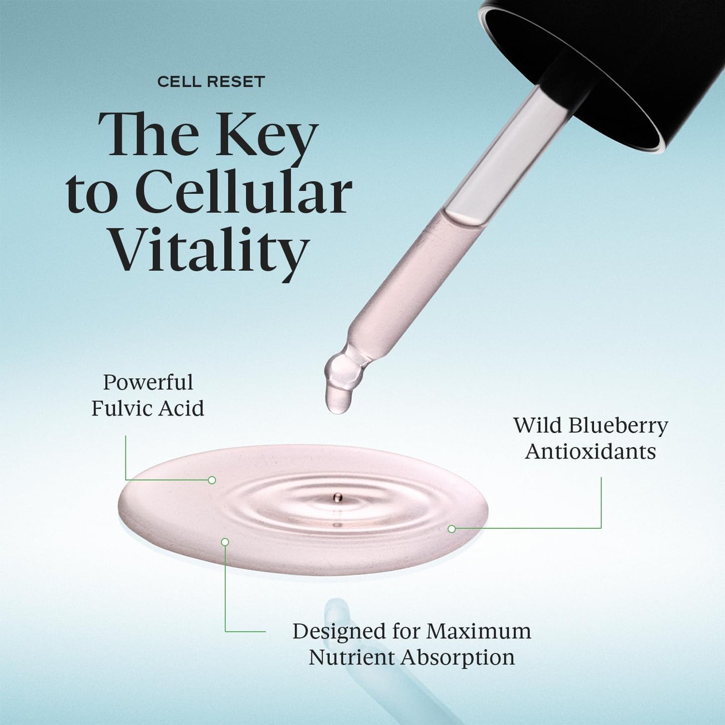 SAKARA Cell Reset – Liquid Fulvic Acid Complex with Wild Blueberry & Lemon | Mineral-Rich Antioxidant Drops for Cellular Detox, Energy & Immune Support | Premium Bioavailable Formula, 1 fl oz (30 mL)