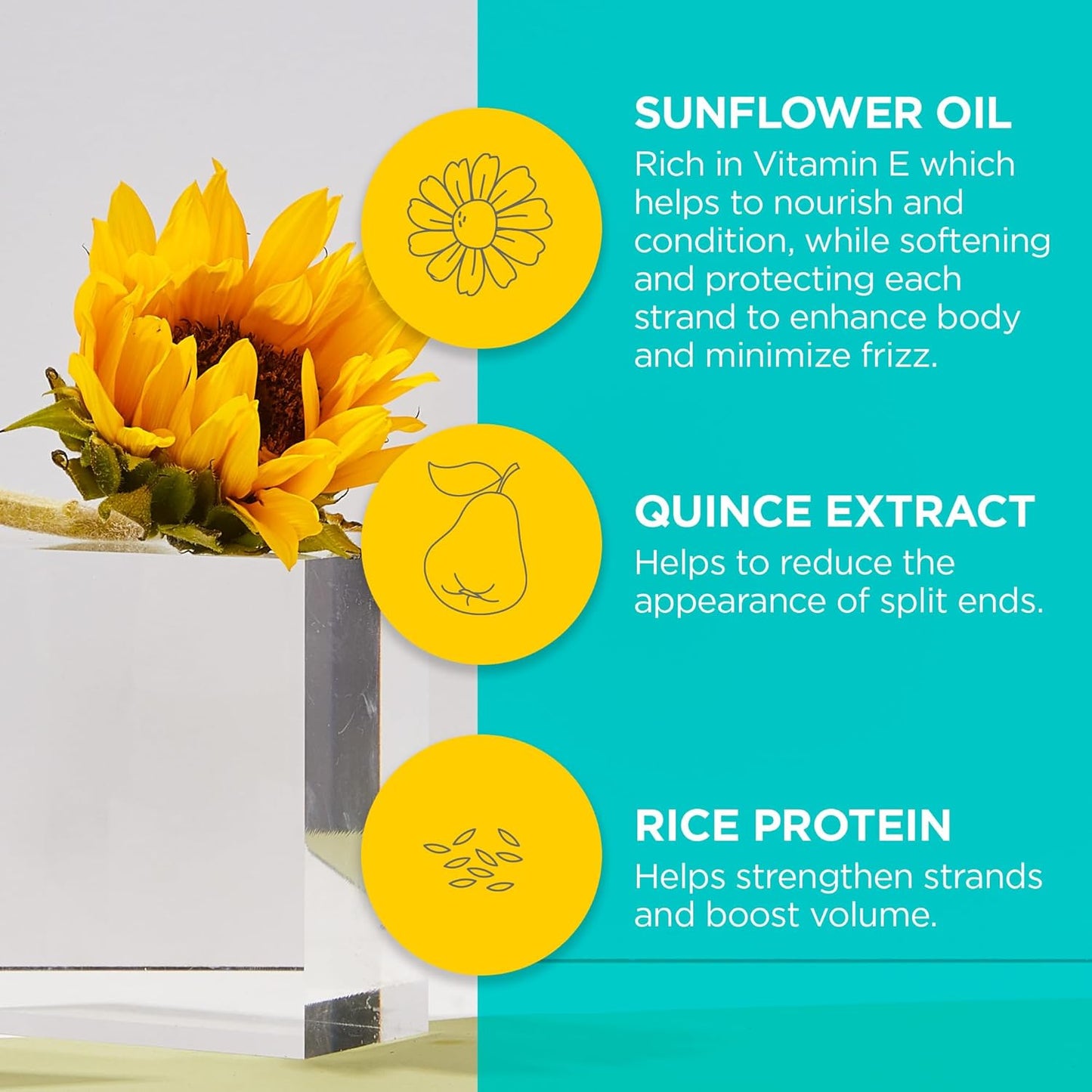 Andalou Naturals Sunflower & Citrus Brilliant Shine Hair Spray | Styling for Shine & Medium Hold | Aloe Vera for Frizz Control | Natural & Cruelty Free | 8.2 fl oz