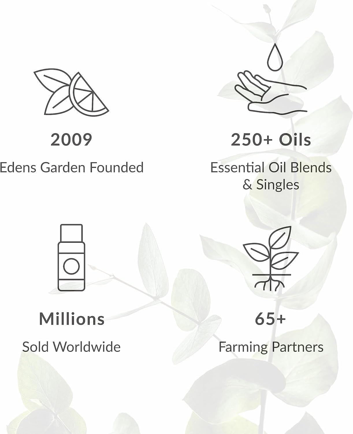 Edens Garden Concentration & Memory Essential Oil Roll-On Blend- 100% Pure Premium Grade, Natural, Therapeutic, Aromatherapy, Kid & Skin Safe, The Best for Tension Pre-Diluted 10 ml (.33 fl oz)