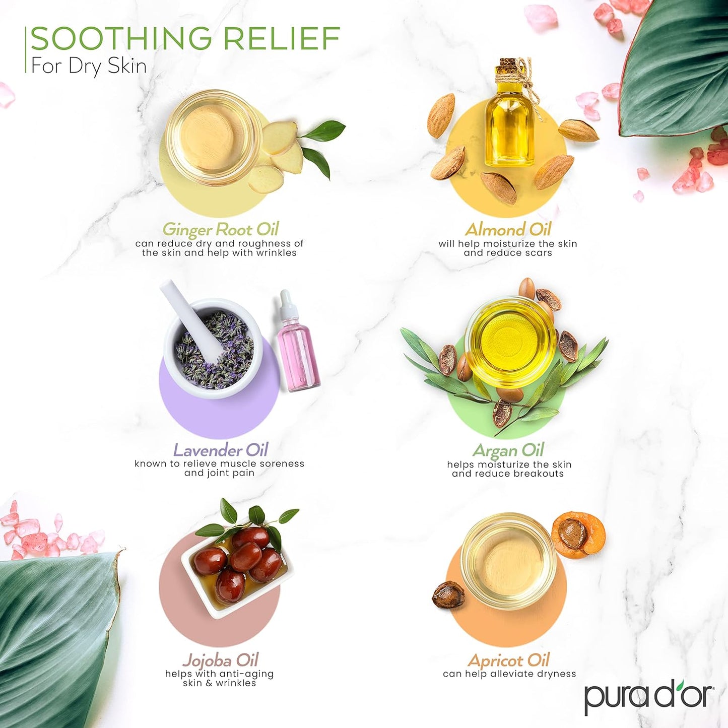 PURA D'OR 16 Oz ORGANIC Massage Therapy Oil USDA Certified Almond, Apricot, Argan, Ginger, Jojoba, Lavender Oils For Silky & Softer Skin - Body Moisturizer & Skin Lubricant - Aromatherapy & Relaxation