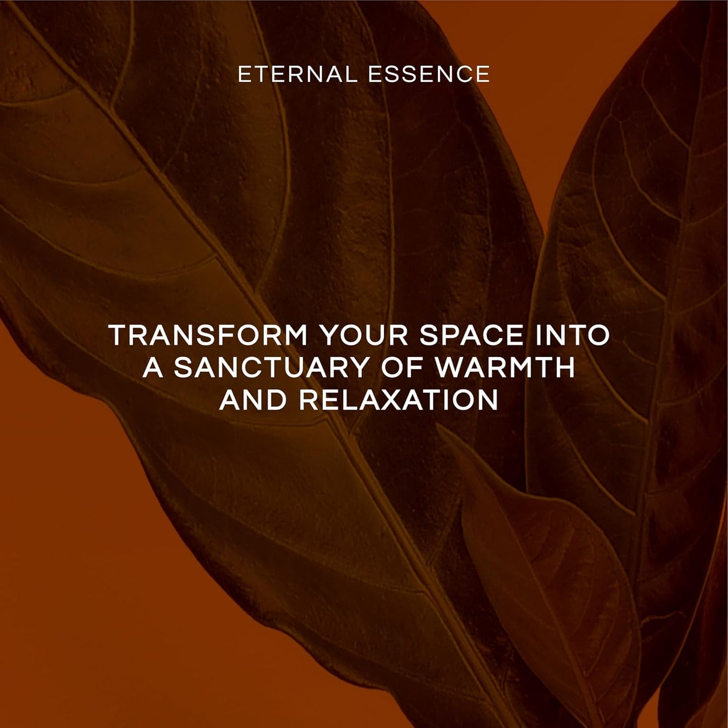 Eternal Essence Oils Scent of a Woman Set of 6 Premium Fragrance Oils - Includes Guava Colada, Twilight Woods, Bali Mango, Passion Fruit & Guava, Juniper Breeze, and Love Spell Scented Oils - 10ML